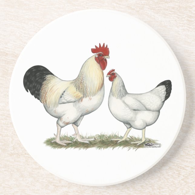 Dessous De Verre En Grès Poulets de la rivière Indian (Devant)