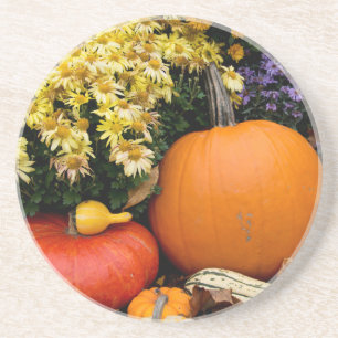 Dessous De Verre En Grès Présentation colorée de citrouilles décoratives d'