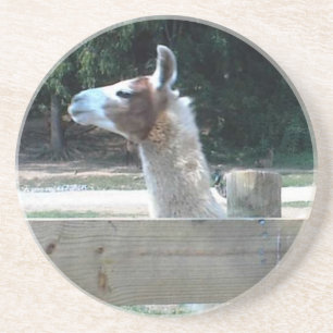 Dessous De Verre En Grès Profil de lama