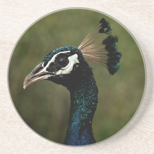Dessous De Verre En Grès Profil de Peacock (Devant)