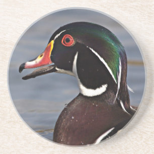 Dessous De Verre En Grès Profil d'un Canard branchu