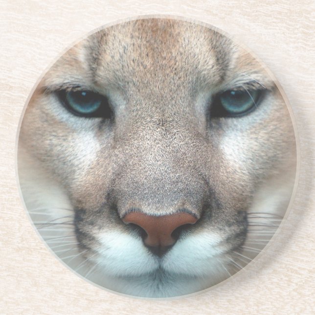 DESSOUS DE VERRE EN GRÈS PUMA MAGNIFIQUE (Devant)