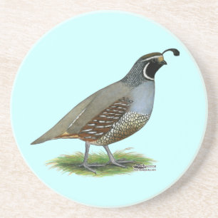 Dessous De Verre En Grès Quail de la Californie