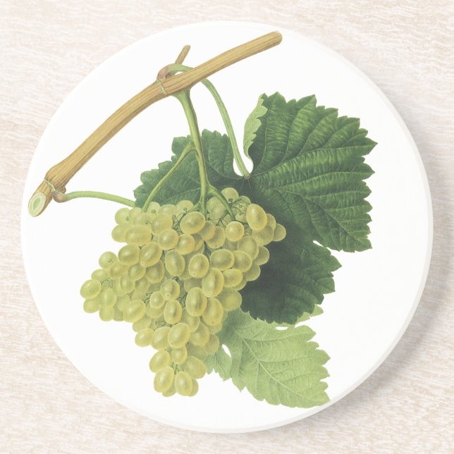 Dessous De Verre En Grès Raisins de vin blanc sur la vigne, fruits alimenta (Devant)