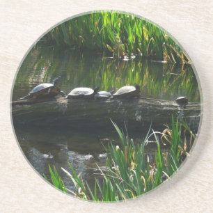Dessous De Verre En Grès Rangée de tortues photo de la nature verte
