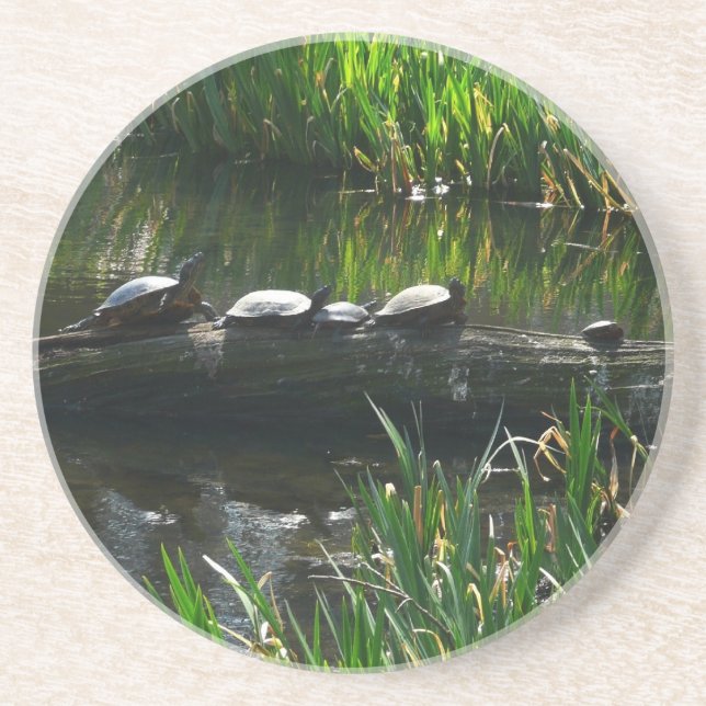 Dessous De Verre En Grès Rangée de tortues photo de la nature verte (Devant)