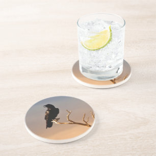 Dessous De Verre En Grès Raven sur les branches d'arbre ensoleillées,