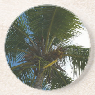 Dessous De Verre En Grès Regard sur le palmier à coco Nature tropicale