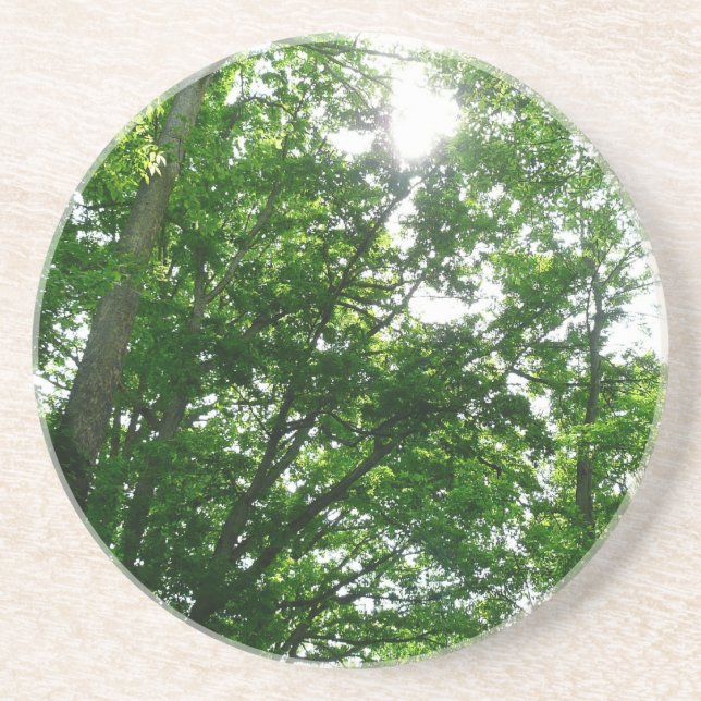 Dessous De Verre En Grès Regard sur les arbres d'été (Devant)