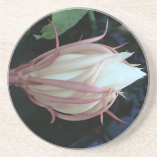 Dessous De Verre En Grès Reine de l'epiphyllum de nuit