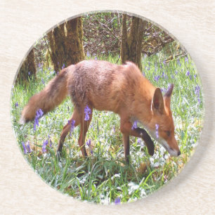 Dessous De Verre En Grès Renard roux Campanules Forêt Fleurs Nature