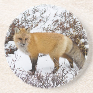 Dessous De Verre En Grès Renard roux dans la neige en hiver