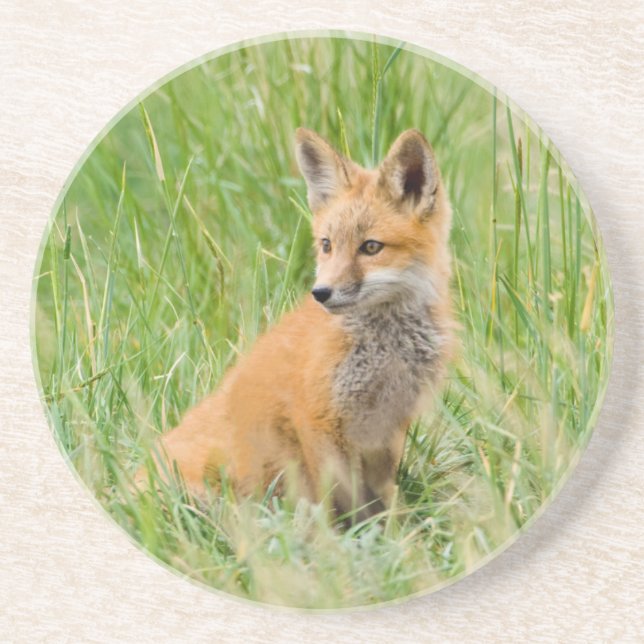 Dessous De Verre En Grès Renardeau roux dans l'herbe près de la tanière (Devant)