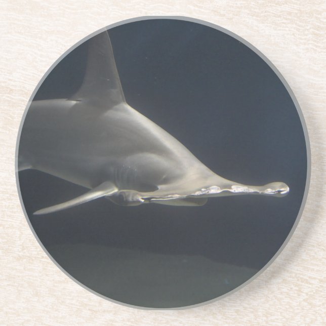 Dessous De Verre En Grès Requin de poisson-marteau (Devant)