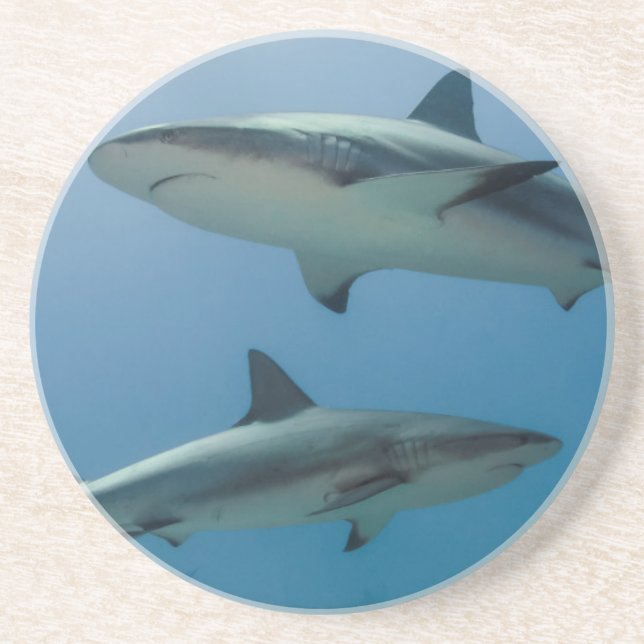 Dessous De Verre En Grès Requin des récifs des Caraïbes (Devant)
