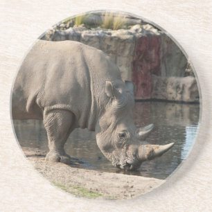 Dessous De Verre En Grès Rhinocéros