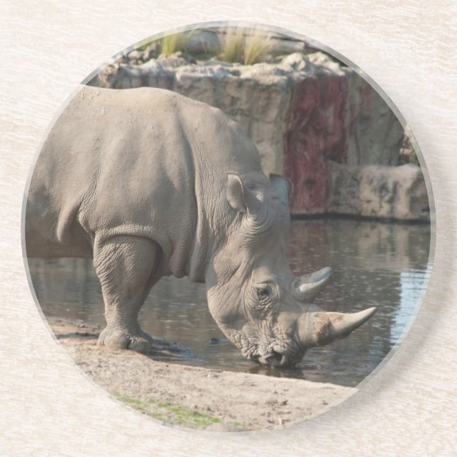Dessous De Verre En Grès Rhinocéros (Devant)