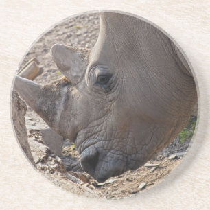 Dessous De Verre En Grès Rhinoceros