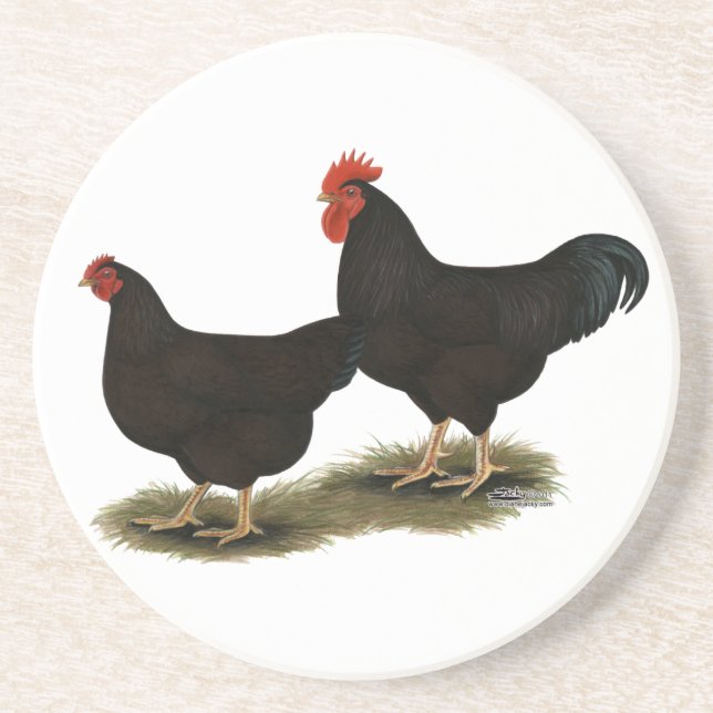 Dessous De Verre En Grès Rhode Island Red Bantams (Devant)
