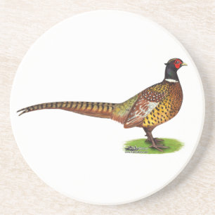 Dessous De Verre En Grès Ringneck Pheasant Rooster