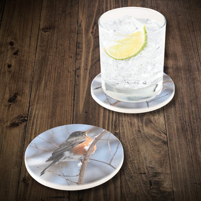 Dessous De Verre En Grès Robin américain mignon assis sur une branche de ne (If Dad is a birder, celebrate his hobby with this coaster that makes a unique Father's Day gift.)