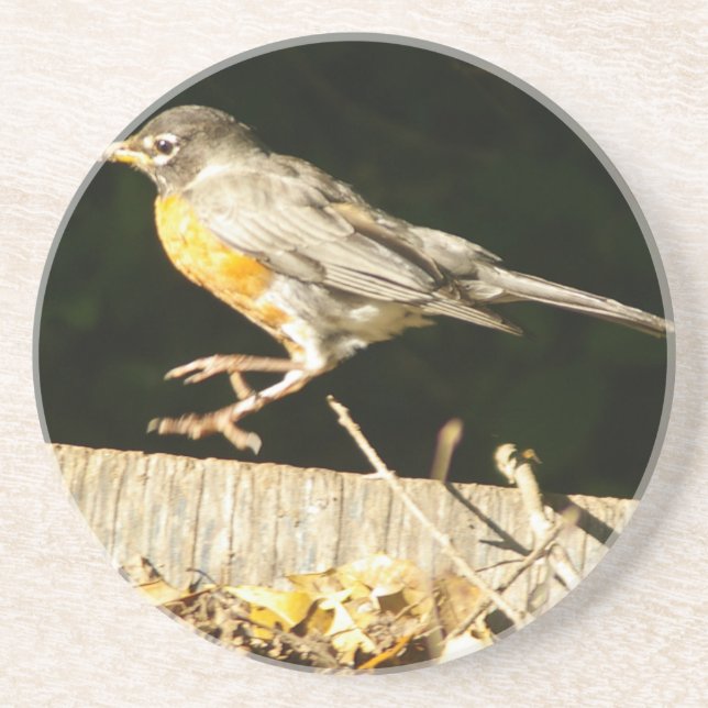 Dessous De Verre En Grès Robin Rouge Bobbin (Devant)