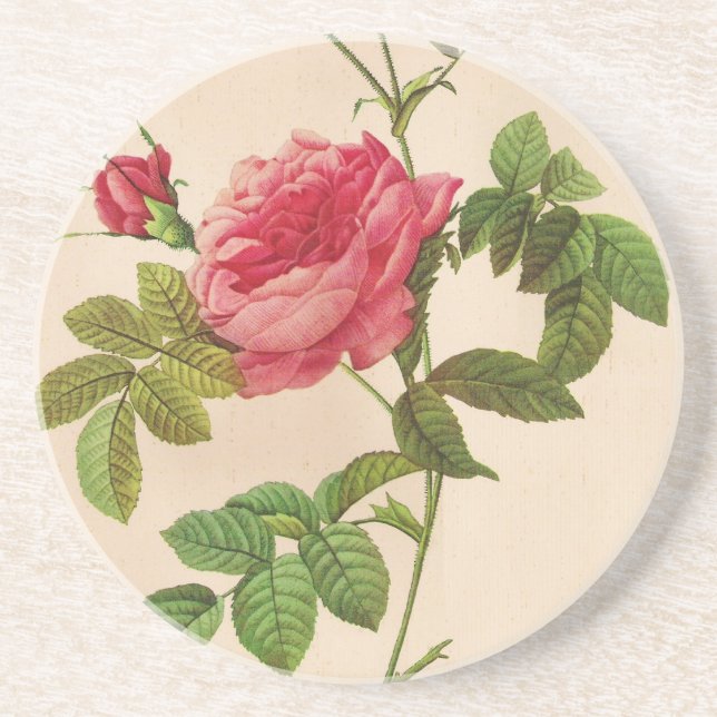 Dessous De Verre En Grès Rosa Inermis, Pierre Joseph Redouté (Devant)