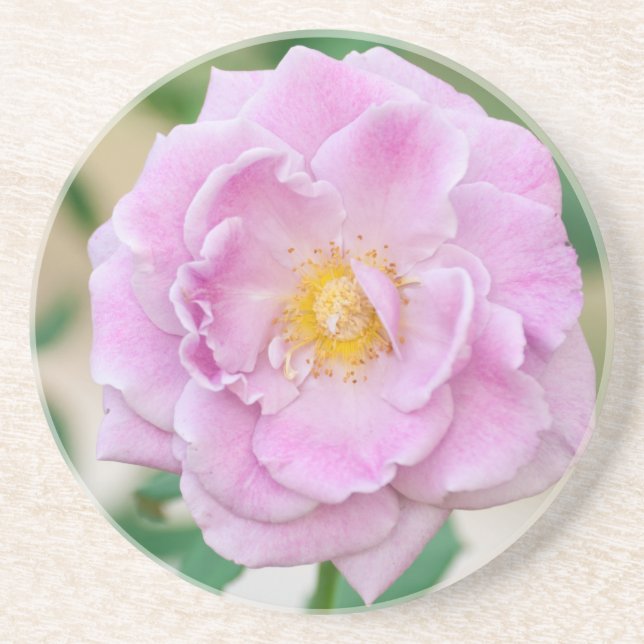Dessous De Verre En Grès Rose (Devant)