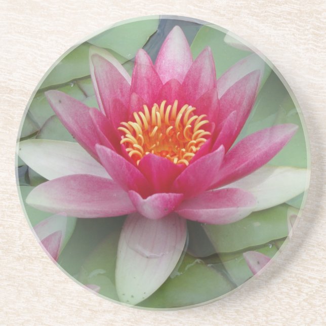 Dessous De Verre En Grès Rose Lotus Water Lily (Devant)