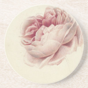 Dessous De Verre En Grès Rose Roos (1792) – Éternel Art Botanique Vintage