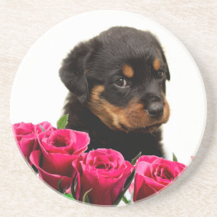 Dessous De Verre En Grès Rose Valentin Rottweiler Puppy