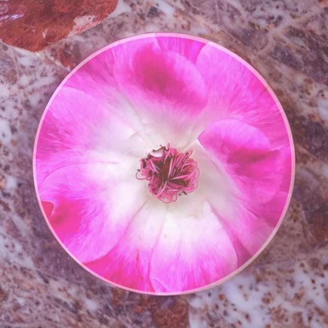 Dessous De Verre En Grès Roses d'iceberg rose (Créateur téléchargé)