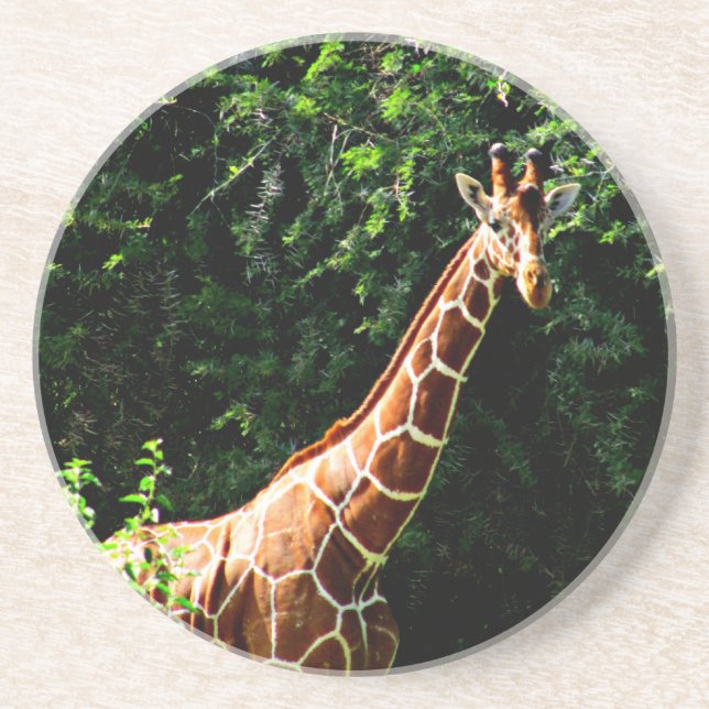 Dessous De Verre En Grès Samburu Giraffe (Devant)