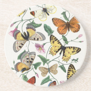 Dessous De Verre En Grès Sandstone Butterfly Antique Illustration Coaster