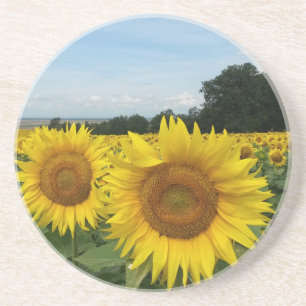 Dessous De Verre En Grès Sandstone Coaster avec Sunflower
