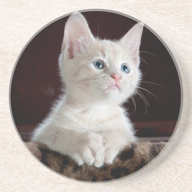 Dessous De Verre En Grès Sandstone Coaster lovers cats , for girls / gift  (Devant)