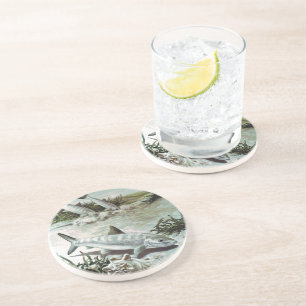 Dessous De Verre En Grès Scène sous-marine de corégone vintage