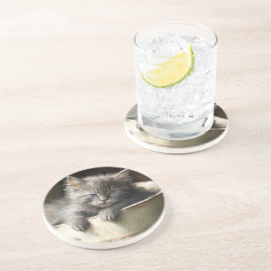 Dessous De Verre En Grès Seau Plein De Joie Sweet Grey Kitten