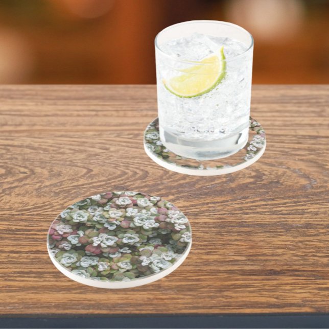 Dessous De Verre En Grès Sedum Spathulifolium Succulent Plantes Floral (In Situ)