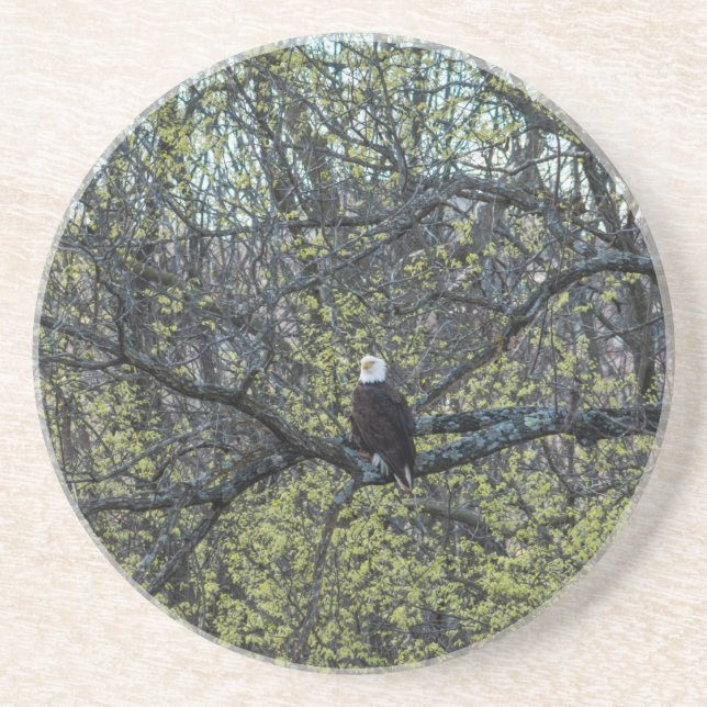 Dessous De Verre En Grès Sensibilisation aux aigles (Devant)