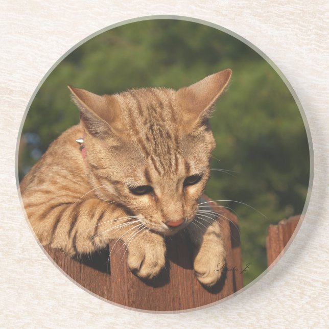 Dessous De Verre En Grès Série de chats — Serval Savannah Chat—Dessous de v (Devant)