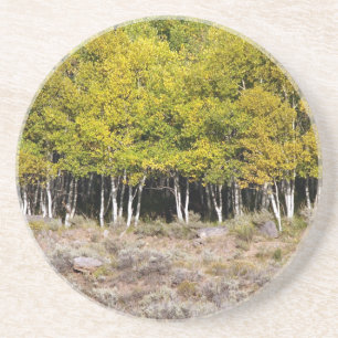 Dessous De Verre En Grès Série plante/Fleur—Dessous de verre Aspen Grove