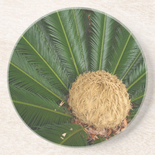 Dessous De Verre En Grès Série plante/Fleur—Dessous de verre Sago Palm