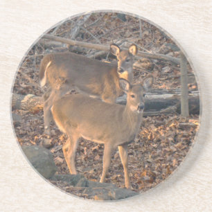 Dessous De Verre En Grès Série Young Whitetail Deer