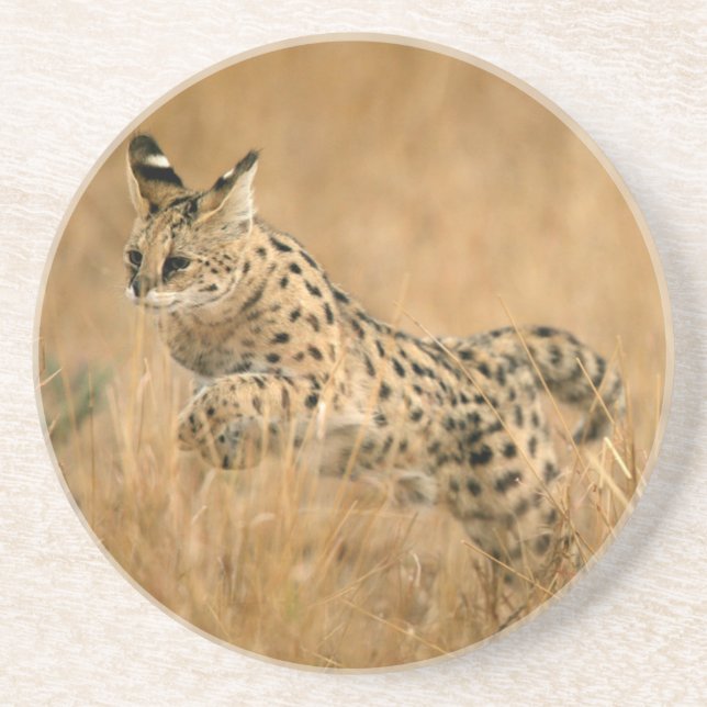 Dessous De Verre En Grès Serval (Leptailurus Serval) sautant (Devant)