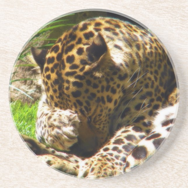 Dessous De Verre En Grès Shy Leopard (Devant)