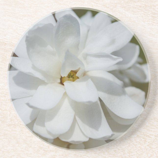 Dessous De Verre En Grès Silky Magnolia (Devant)