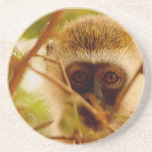 Dessous De Verre En Grès Singe effronté.