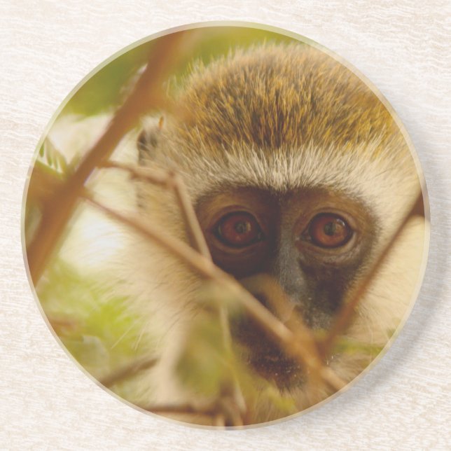 Dessous De Verre En Grès Singe effronté. (Devant)