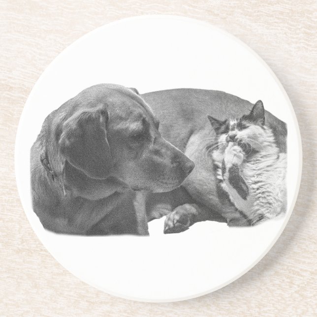 Dessous De Verre En Grès Sip Break avec Pals (Devant)